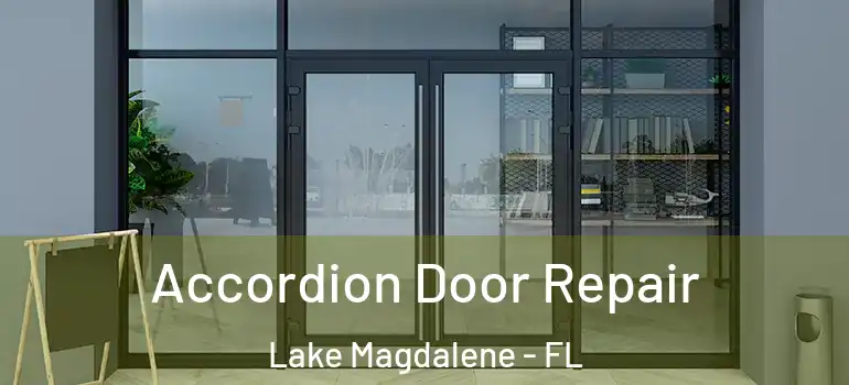 Accordion Door Repair Lake Magdalene - FL