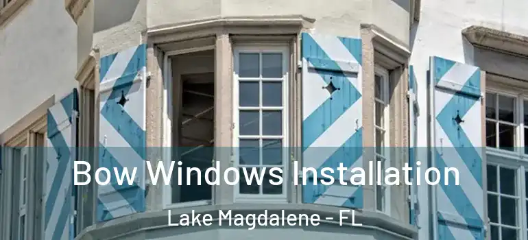 Bow Windows Installation Lake Magdalene - FL
