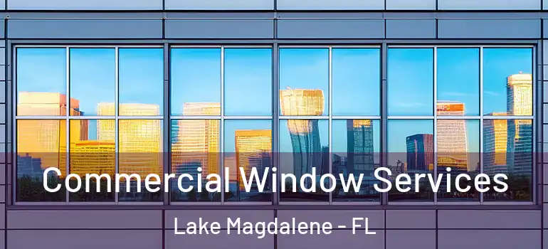  Commercial Window Services Lake Magdalene - FL