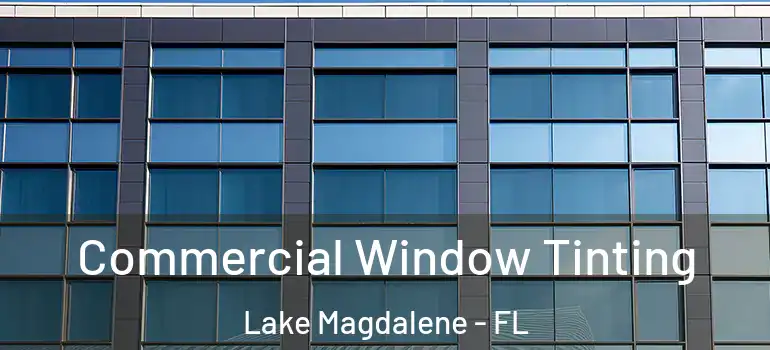 Commercial Window Tinting Lake Magdalene - FL