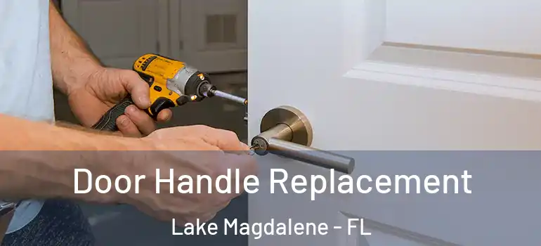 Door Handle Replacement Lake Magdalene - FL
