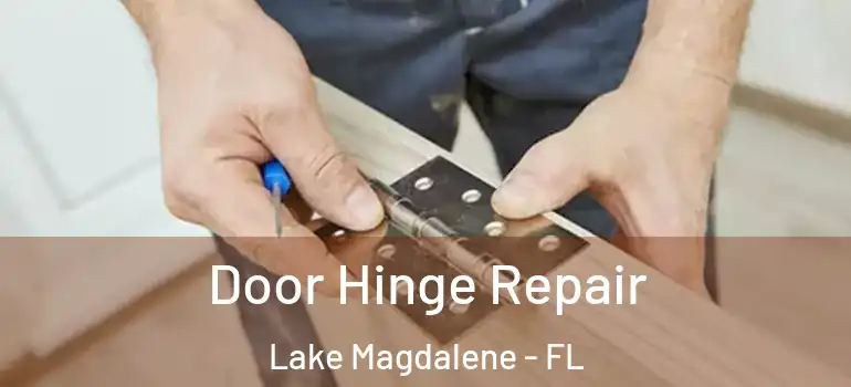 Door Hinge Repair Lake Magdalene - FL