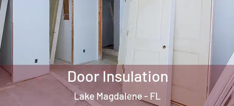 Door Insulation Lake Magdalene - FL
