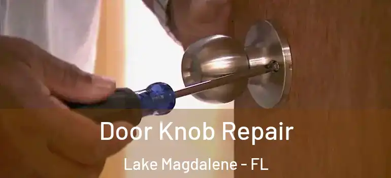 Door Knob Repair Lake Magdalene - FL