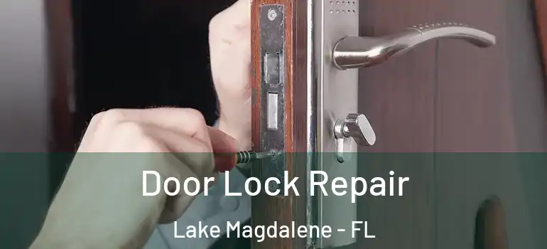 Door Lock Repair Lake Magdalene - FL