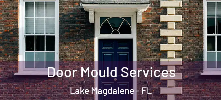  Door Mould Services Lake Magdalene - FL