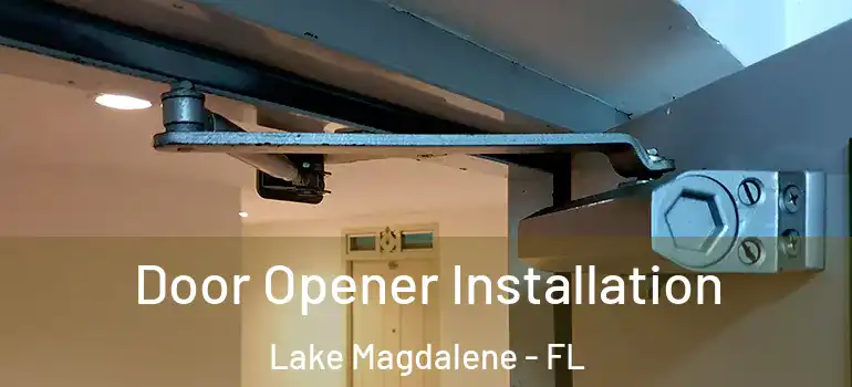 Door Opener Installation Lake Magdalene - FL