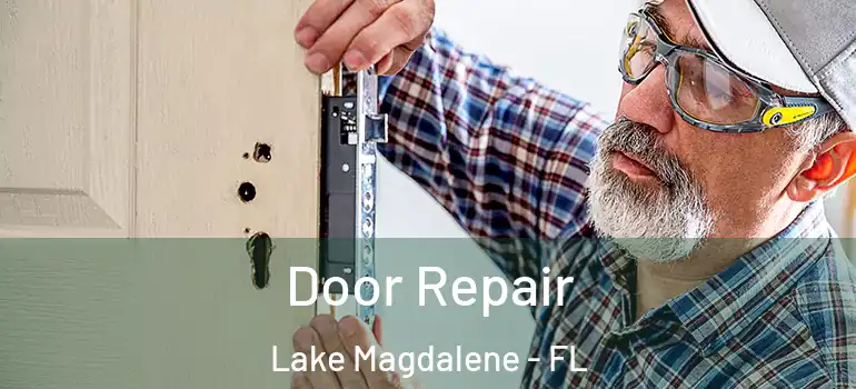 Door Repair Lake Magdalene - FL