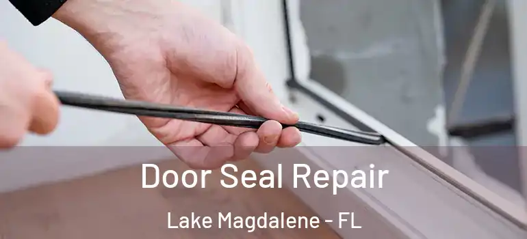 Door Seal Repair Lake Magdalene - FL