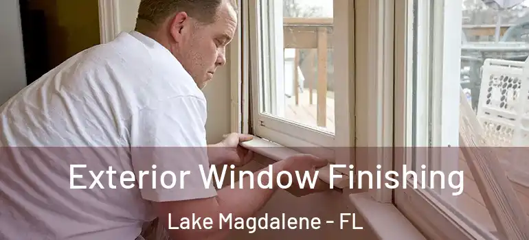 Exterior Window Finishing Lake Magdalene - FL
