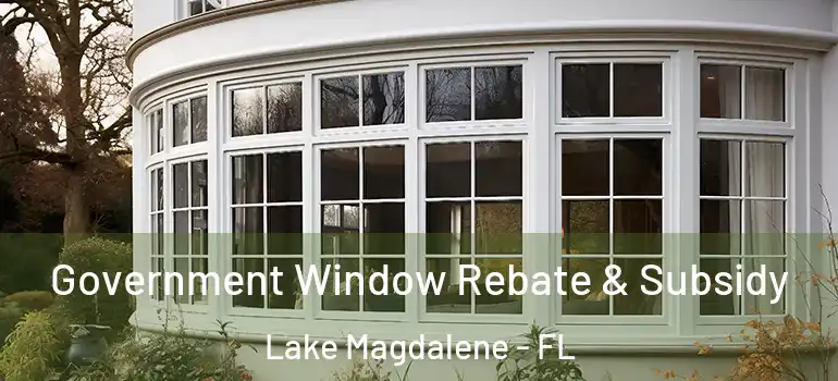 Government Window Rebate & Subsidy Lake Magdalene - FL