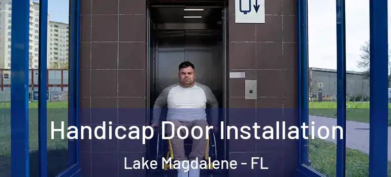 Handicap Door Installation Lake Magdalene - FL