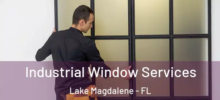 Industrial Window Services Lake Magdalene - FL