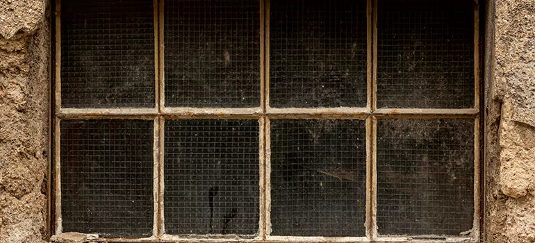 Traditional Double Front Doors in Lake Magdalene, FL