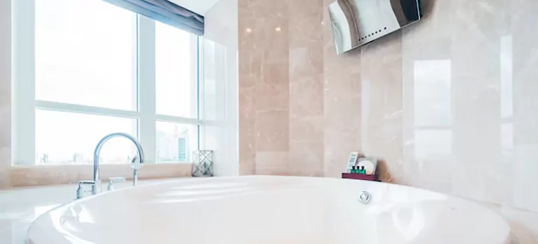 Bathroom Window Coverings in Lake Magdalene, FL