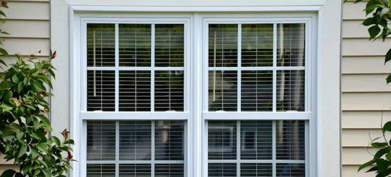 Custom Double Hung Windows in Lake Magdalene, FL