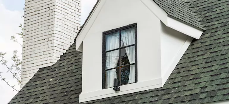 Roof Window Repair in Lake Magdalene, FL