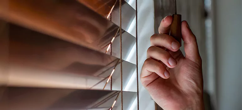 Double Roller Blinds in Lake Magdalene, FL