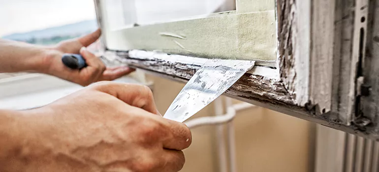 Exterior Window Frame Repair in Lake Magdalene, FL