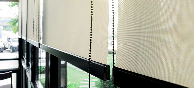 Blackout Window Shades in Lake Magdalene, FL