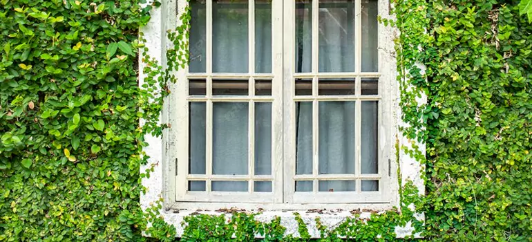 Garden Window Repair Near Me in Lake Magdalene, FL