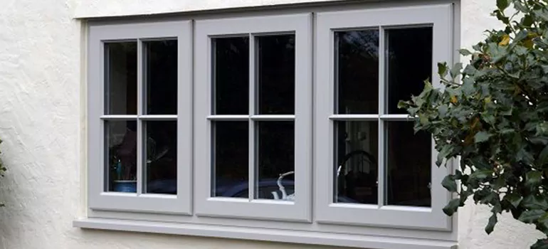 Stormproof Windows With Tinted Glass Services in Lake Magdalene, FL