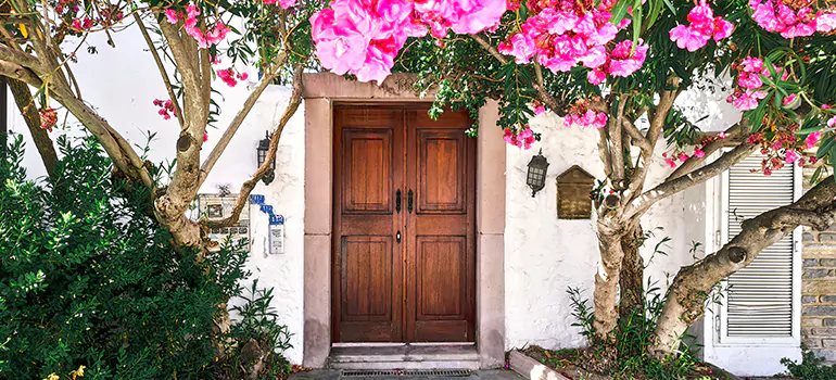 Traditional 4 Panel Internal Doors in Lake Magdalene, FL