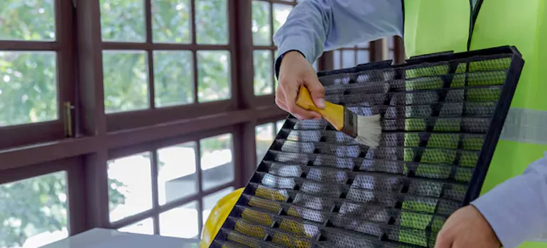 Traditional Window Grille Installation Options in Lake Magdalene, FL