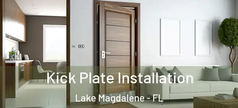 Kick Plate Installation Lake Magdalene - FL