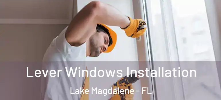 Lever Windows Installation Lake Magdalene - FL