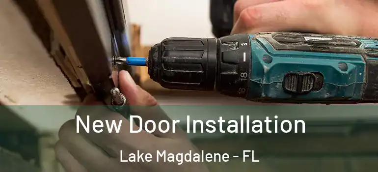 New Door Installation Lake Magdalene - FL