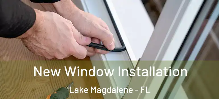 New Window Installation Lake Magdalene - FL