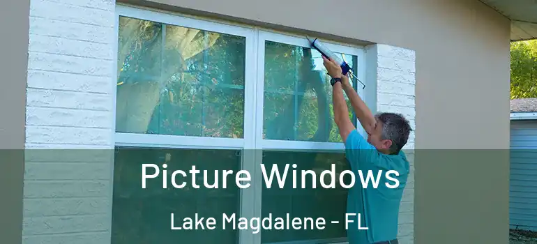 Picture Windows Lake Magdalene - FL