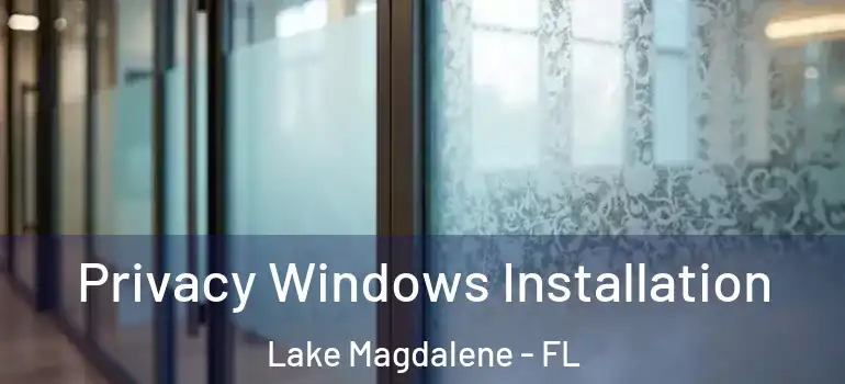 Privacy Windows Installation Lake Magdalene - FL