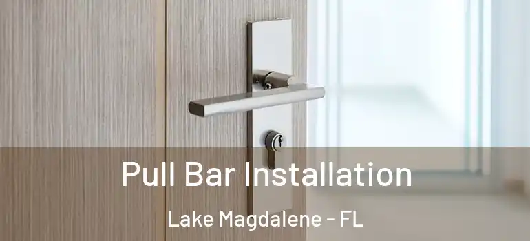  Pull Bar Installation Lake Magdalene - FL
