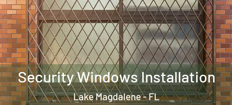 Security Windows Installation Lake Magdalene - FL