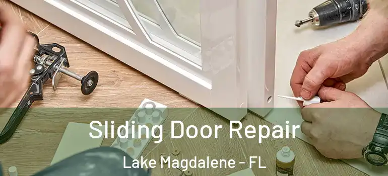 Sliding Door Repair Lake Magdalene - FL