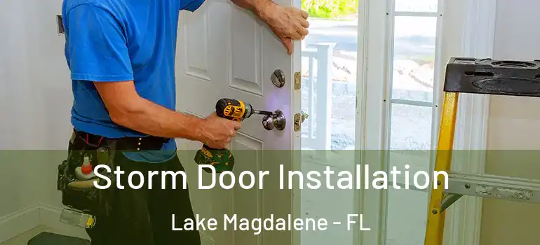 Storm Door Installation Lake Magdalene - FL