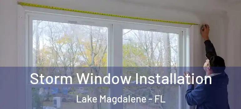 Storm Window Installation Lake Magdalene - FL