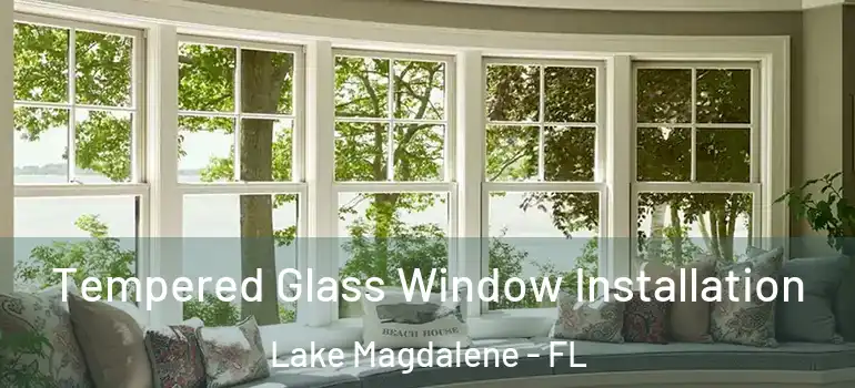 Tempered Glass Window Installation Lake Magdalene - FL