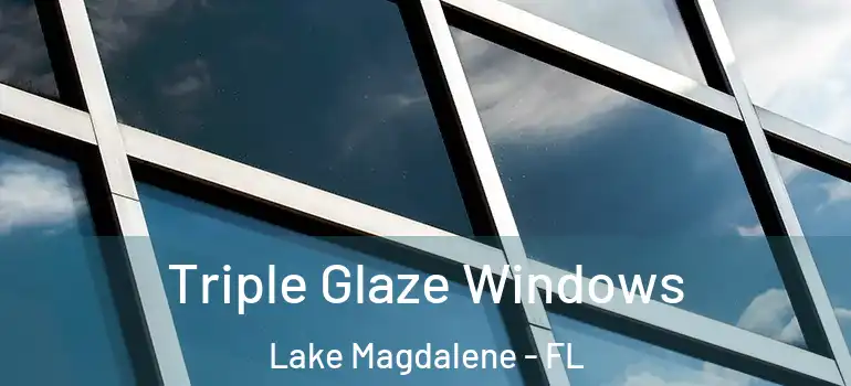 Triple Glaze Windows Lake Magdalene - FL