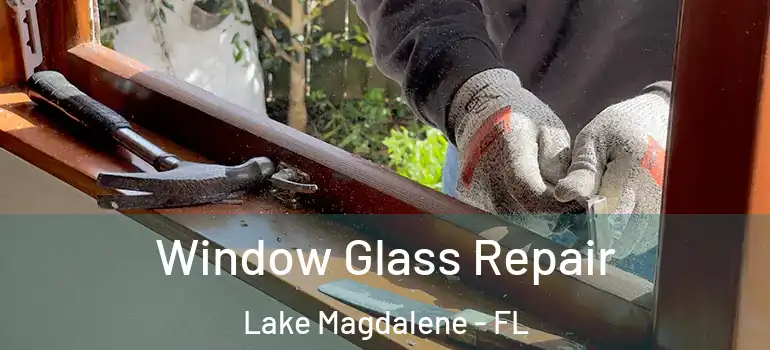 Window Glass Repair Lake Magdalene - FL