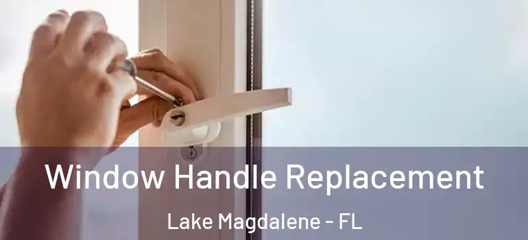 Window Handle Replacement Lake Magdalene - FL
