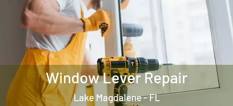Window Lever Repair Lake Magdalene - FL
