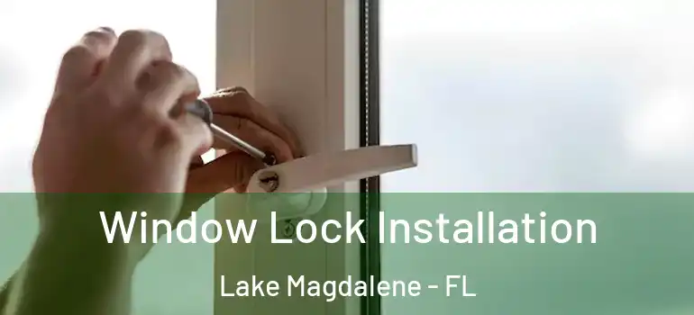 Window Lock Installation Lake Magdalene - FL