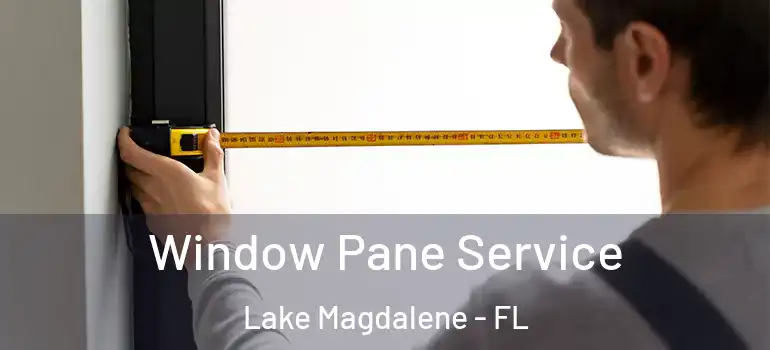  Window Pane Service Lake Magdalene - FL