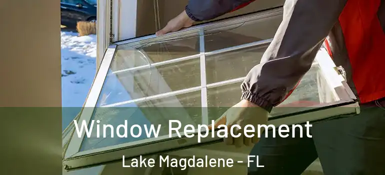 Window Replacement Lake Magdalene - FL