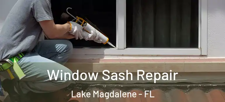 Window Sash Repair Lake Magdalene - FL