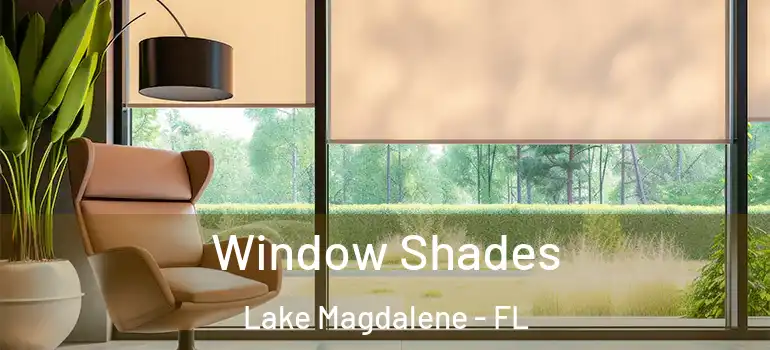 Window Shades Lake Magdalene - FL