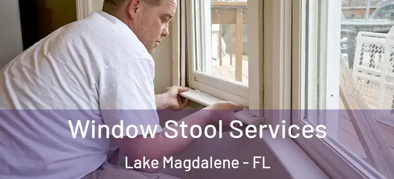 Window Stool Services Lake Magdalene - FL